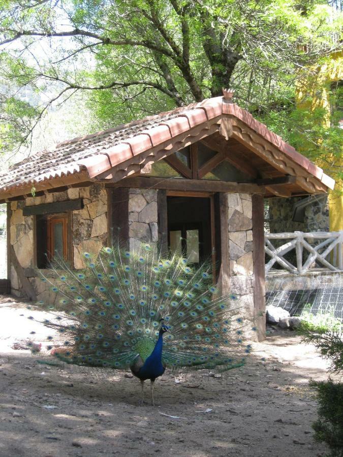 Hotel Rural Los Frutales Cercedilla Ngoại thất bức ảnh